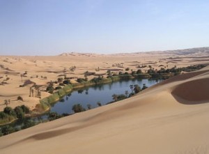 oases in Sahara desert 