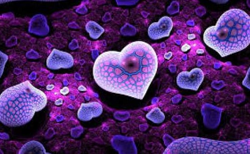 Love Wallpaper For Girlfriend 2019