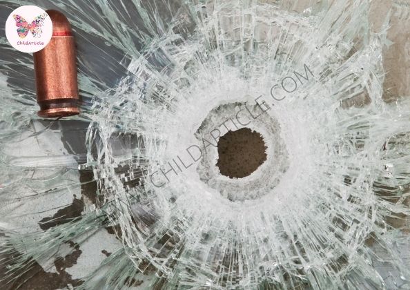 Why We Need Bulletproof Car Windows | SkillsAndTech