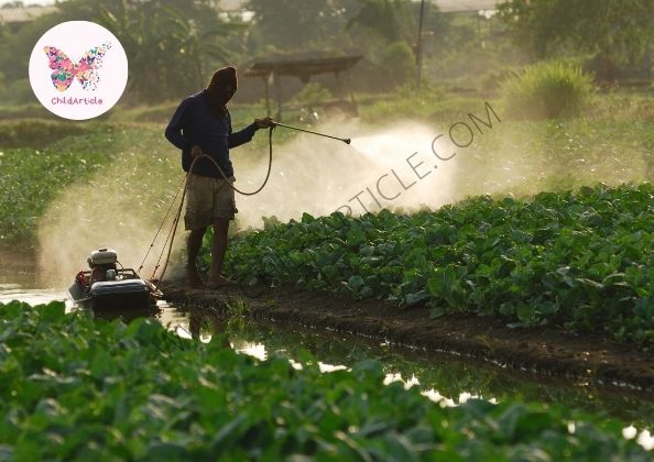 Best Insecticide For Vegetable Garden | ChildArticle
