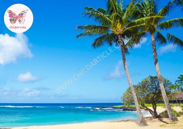 Eco Town Hawaii | ChildArticle