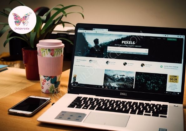 Dexrbll.com Review, Real Or Fake, Wiki, Contact Number | ChildArticle