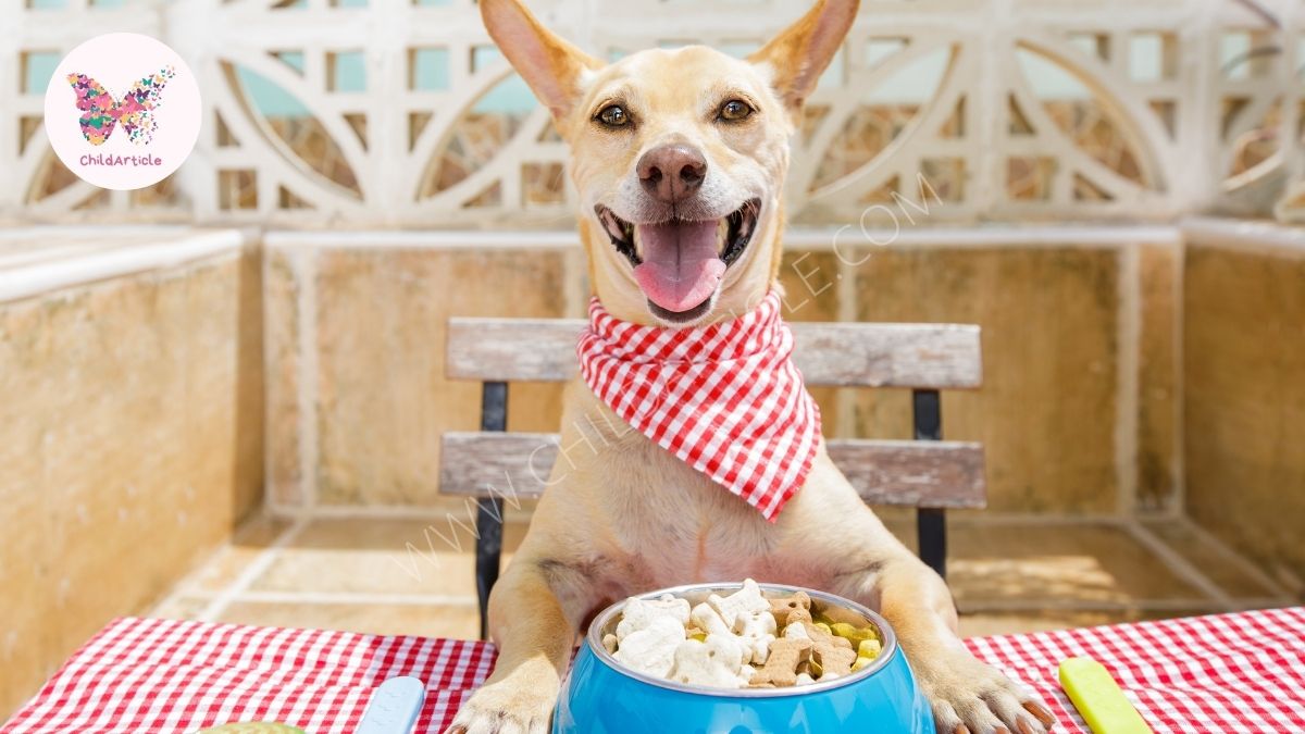 Best Low Fat Dog Food Reviews | Childarticle