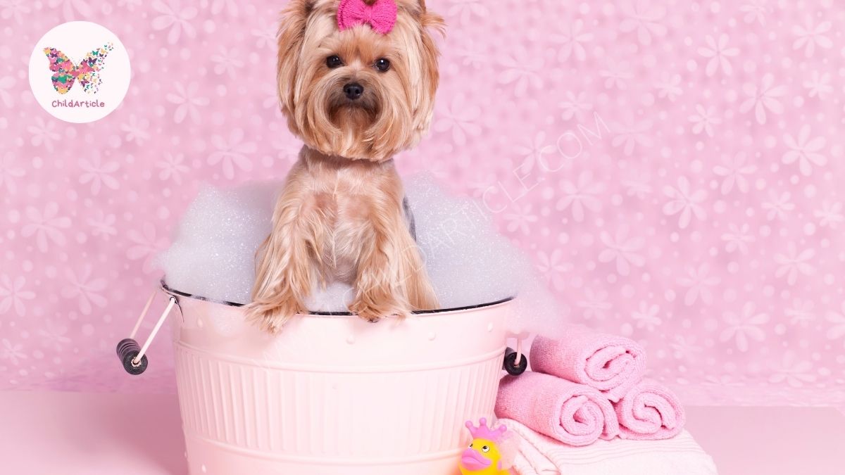 Easy Homemade Dog Shampoo for Fleas ChildArticle Child Article