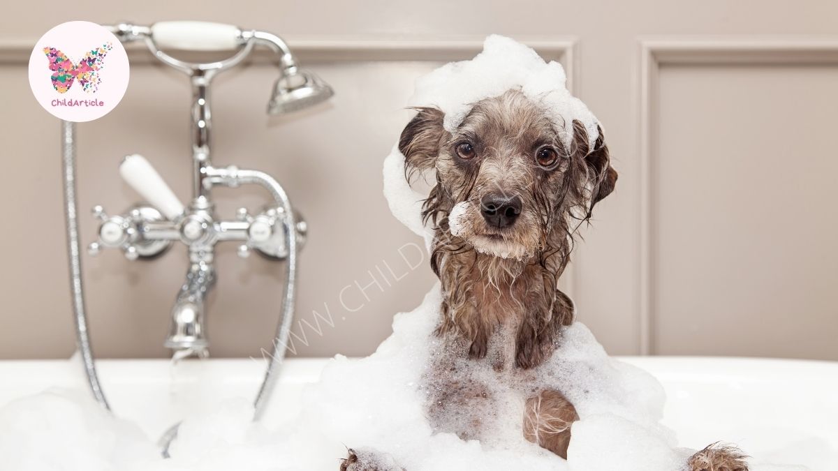 How to Bathe A Dog | ChildArticle