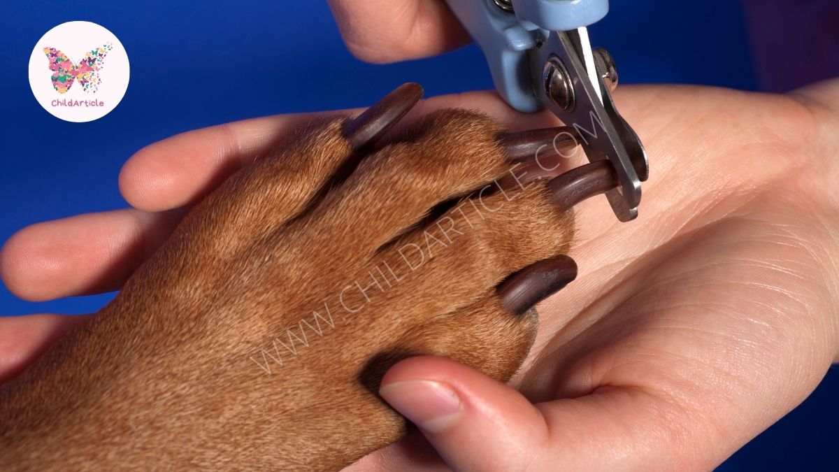 How to Cut Dog Nails That Are Black In a Safe Way | ChildArticle