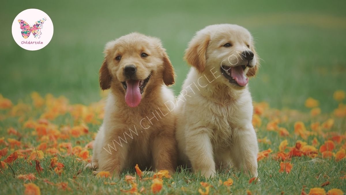 Is It Cruel to Keep a Dog Outside ChildArticle Child Article