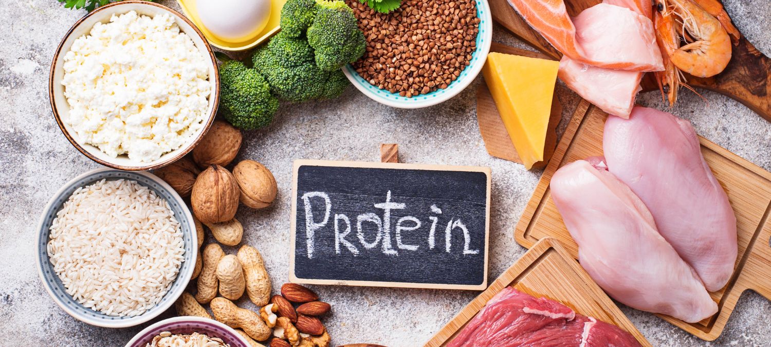 Does Protein make you gain weight | ChildArticle