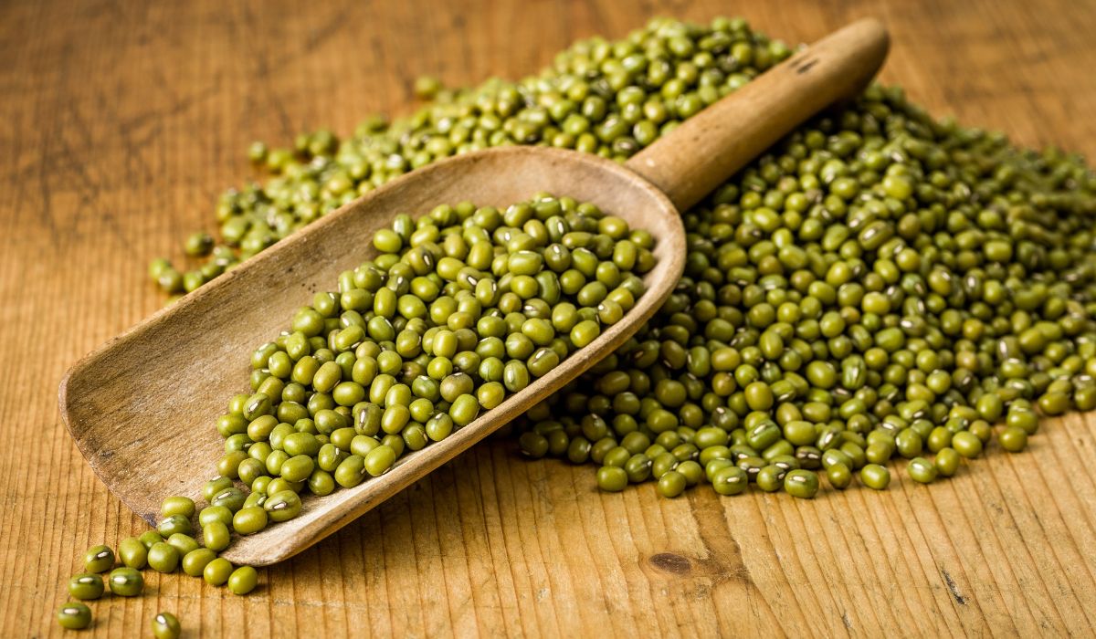 Health benefits of Green Gram (mung beans) & Its side effects | ChildArticle