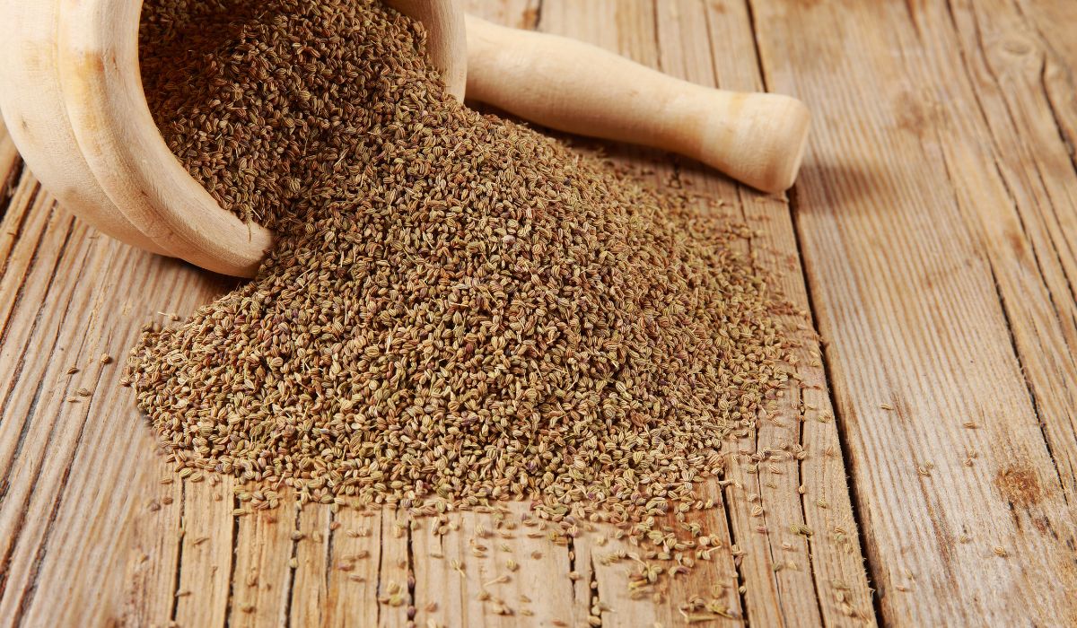 How To Make Carom Seeds Water For Weight Loss | ChildArticle