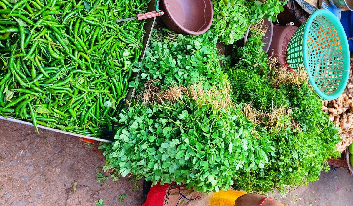 How To Make Dhaniya Water for weight Loss | ChildArticle